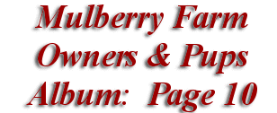  Mulberry Farm
Owners & Pups
 Album: Page 10