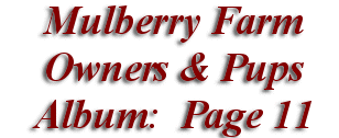  Mulberry Farm
Owners & Pups
 Album: Page 11