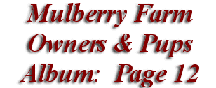  Mulberry Farm
Owners & Pups
 Album: Page 12