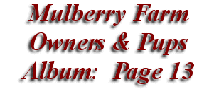  Mulberry Farm
Owners & Pups
 Album: Page 13