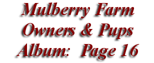  Mulberry Farm
Owners & Pups
 Album: Page 16