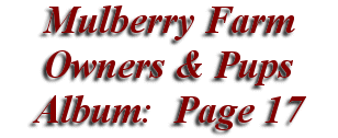  Mulberry Farm
Owners & Pups
 Album: Page 17