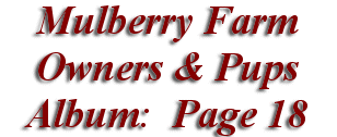 Mulberry Farm
Owners & Pups
 Album: Page 18