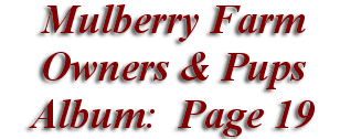  Mulberry Farm
Owners & Pups
 Album: Page 19