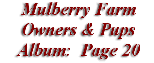  Mulberry Farm
Owners & Pups
 Album: Page 20
