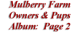  Mulberry Farm
Owners & Pups
 Album: Page 2