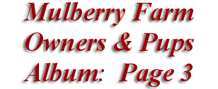  Mulberry Farm
Owners & Pups
 Album: Page 3