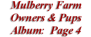 Mulberry Farm
Owners & Pups
 Album: Page 4
