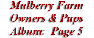  Mulberry Farm
Owners & Pups
 Album: Page 5