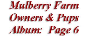  Mulberry Farm
Owners & Pups
 Album: Page 6