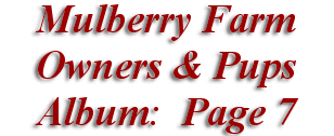  Mulberry Farm
Owners & Pups
 Album: Page 7