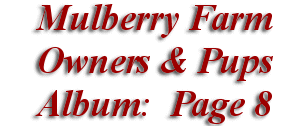  Mulberry Farm
Owners & Pups
 Album: Page 8