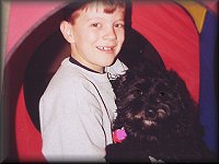 "Callie", the Hersh's Cockapoo