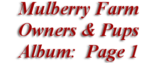  Mulberry Farm
Owners & Pups
 Album: Page 1