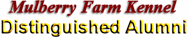 Mulberry Farm Kennel's
Distinguished Alumni