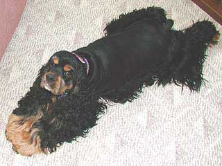 Charlie