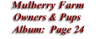  Mulberry Farm
Owners & Pups
 Album: Page 24