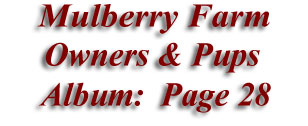  Mulberry Farm
Owners & Pups
 Album: Page 28