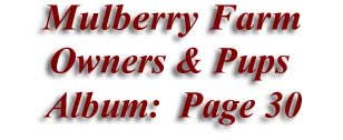  Mulberry Farm
Owners & Pups
 Album: Page 30