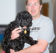     "Sophie"... a
   Black-coloured
Female  Cockapoo