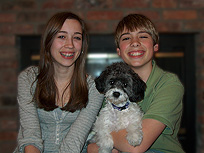      "Gracie", a
Black & White Parti-coloured
  Female  Cockapoo