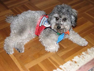 Lola
