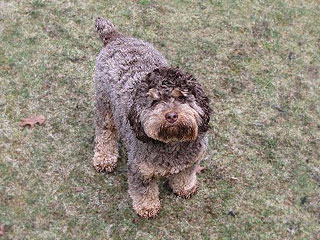 Nutley at 1 year