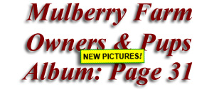  Mulberry Farm
Owners & Pups
 Album: Page 31
