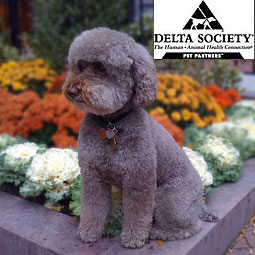 Bailey