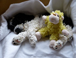 Click HERE to View
Slide Show of Louie