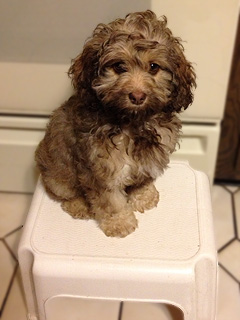 Ryleigh @ 14 Weeks