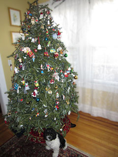 Carly... 3 mo. of age
by foot of Christmas Tree