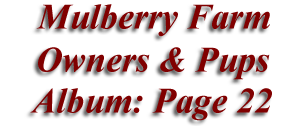  Mulberry Farm
Owners & Pups
 Album: Page 22
