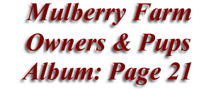  Mulberry Farm
Owners & Pups
 Album: Page 21