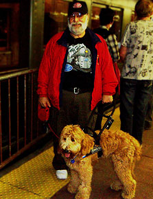 Shaina at work with handler, Bob